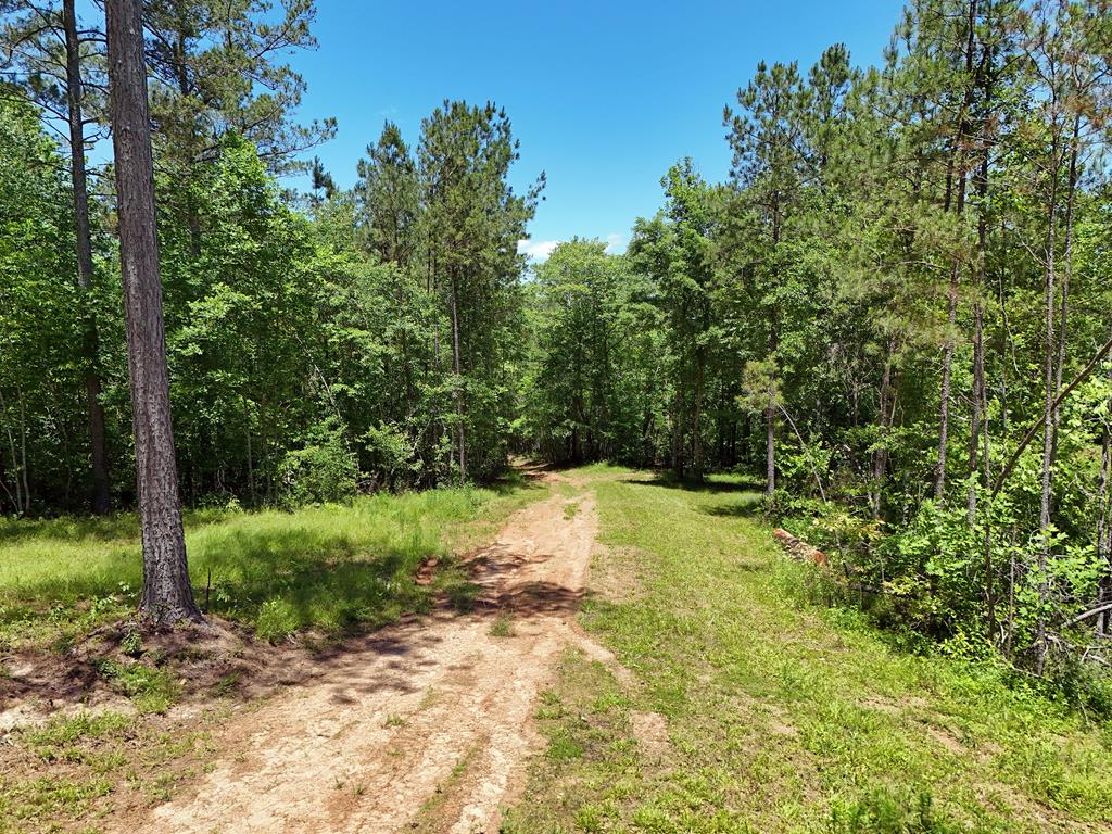 2 Carver Mill Road Property Photo 21
