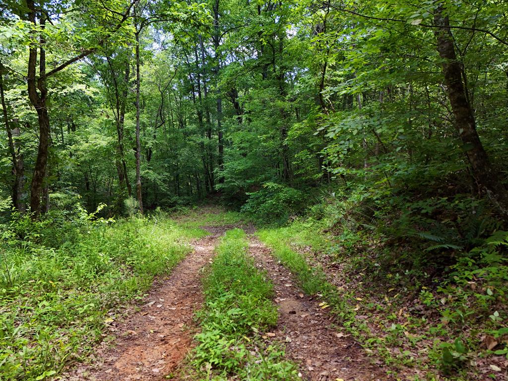 2 Carver Mill Road Property Photo 29