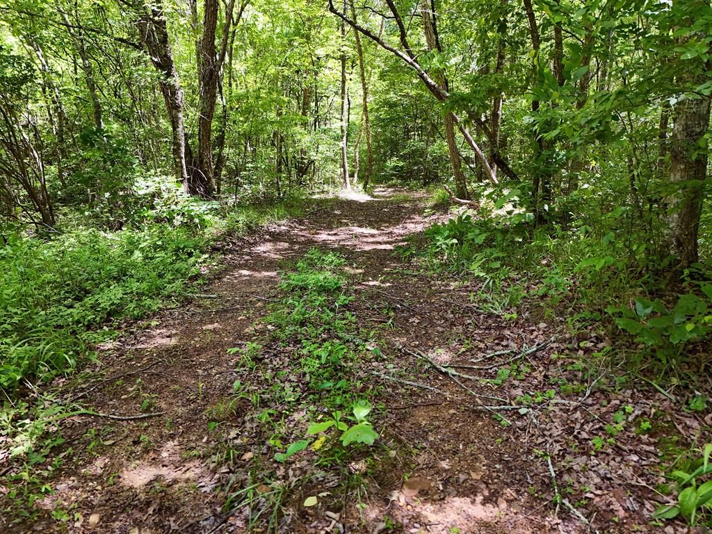 2 Carver Mill Road Property Photo 44