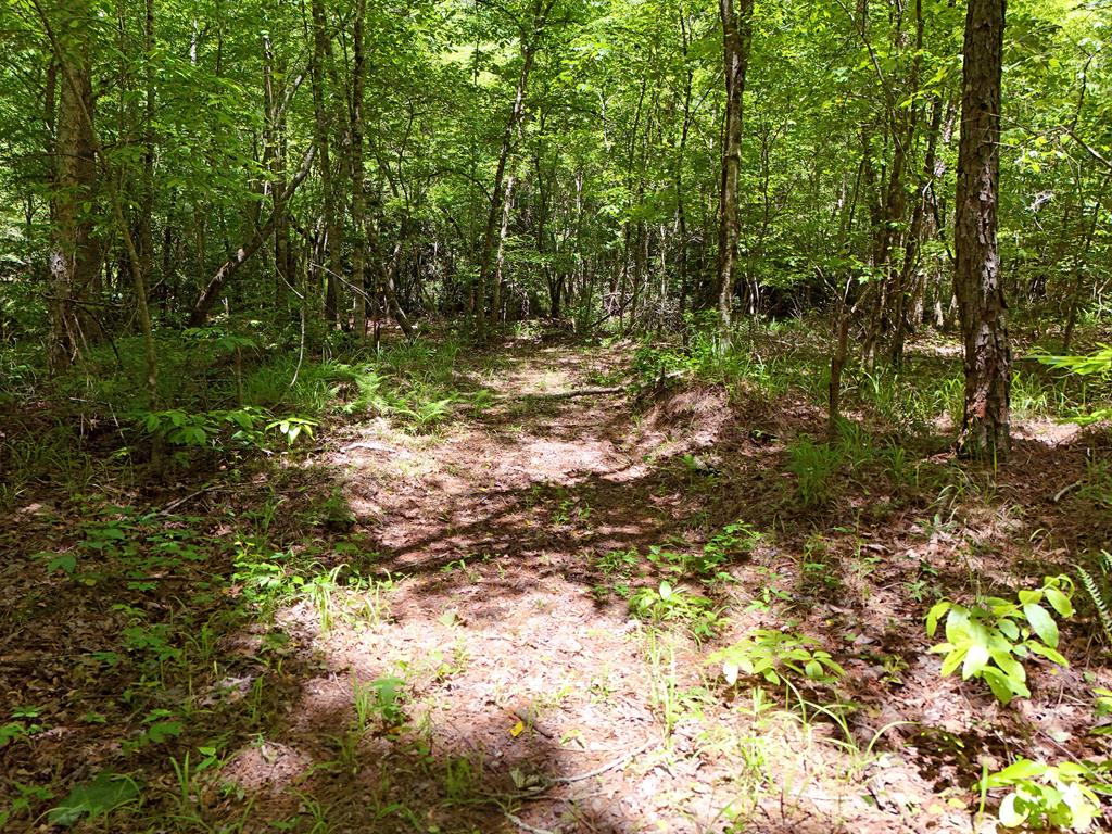 2 Carver Mill Road Property Photo 45