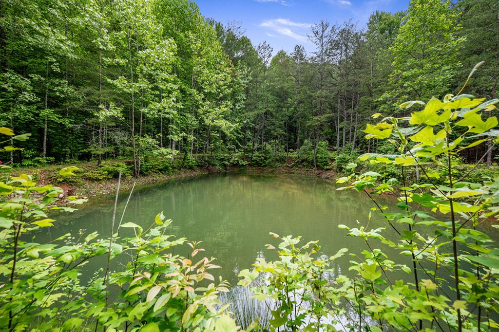 13.67acs Piney Acres Road Property Photo 1