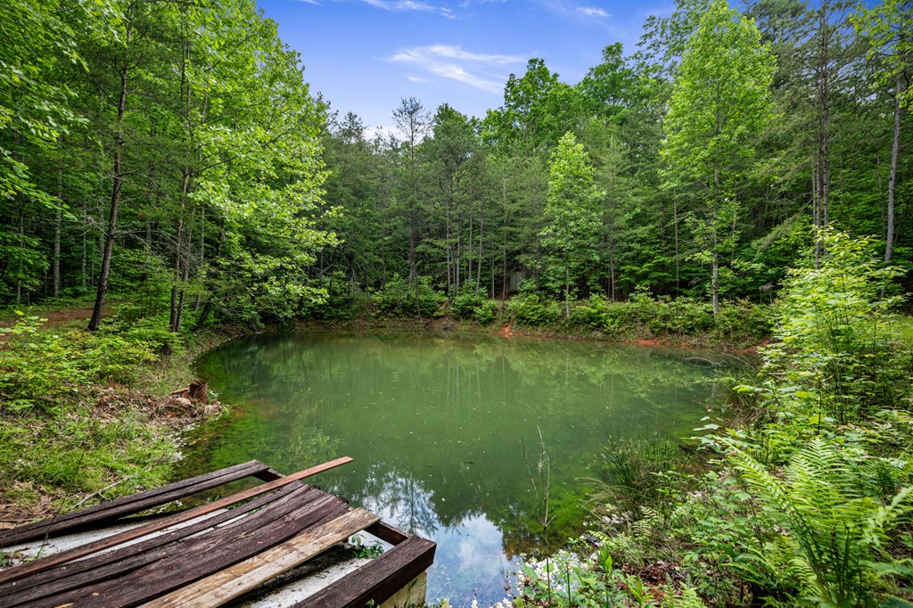 13.67acs Piney Acres Road Property Photo 2