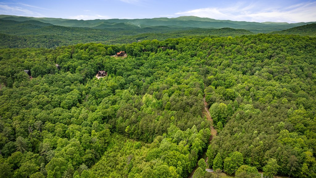 13.67acs Piney Acres Road Property Photo 3