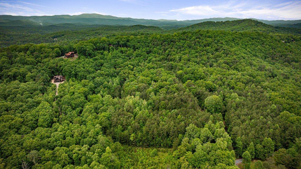 13.67acs Piney Acres Road Property Photo 4