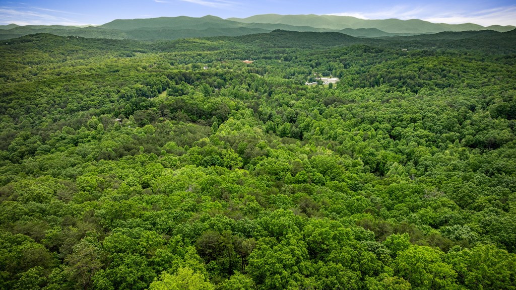 13.67acs Piney Acres Road Property Photo 8