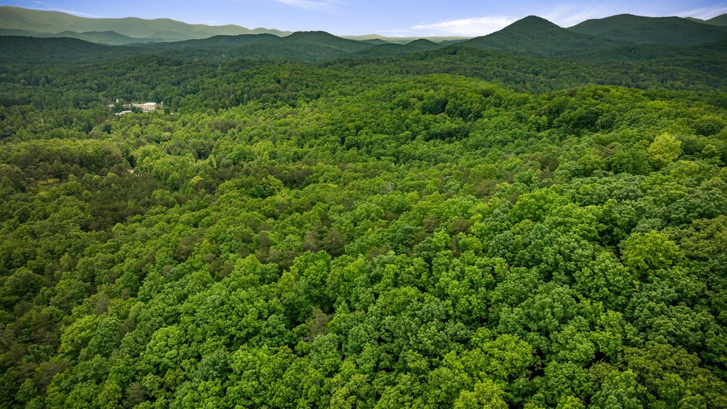 13.67acs Piney Acres Road Property Photo 11