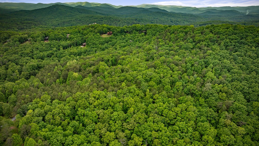 13.67acs Piney Acres Road Property Photo 13