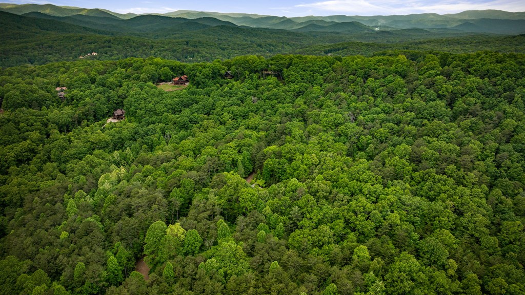 13.67acs Piney Acres Road Property Photo 15