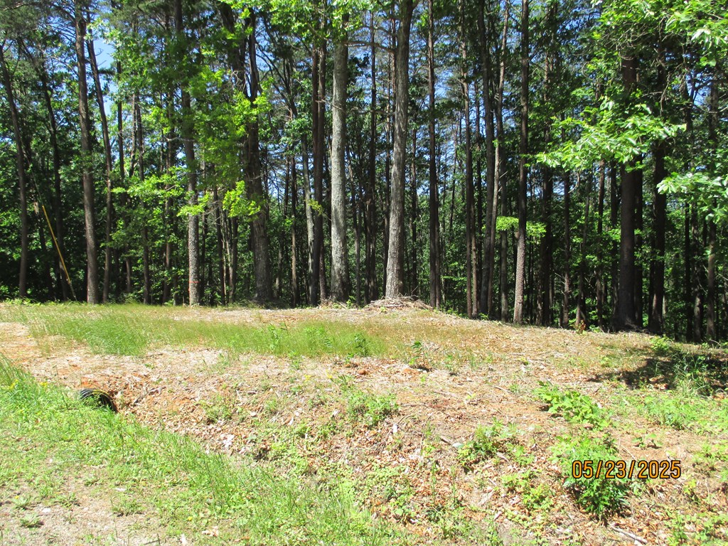 30-31 Eagle Ridge Property Photo 3