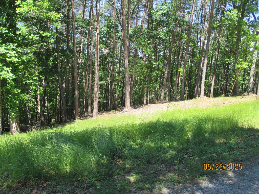 30-31 Eagle Ridge Property Photo 4