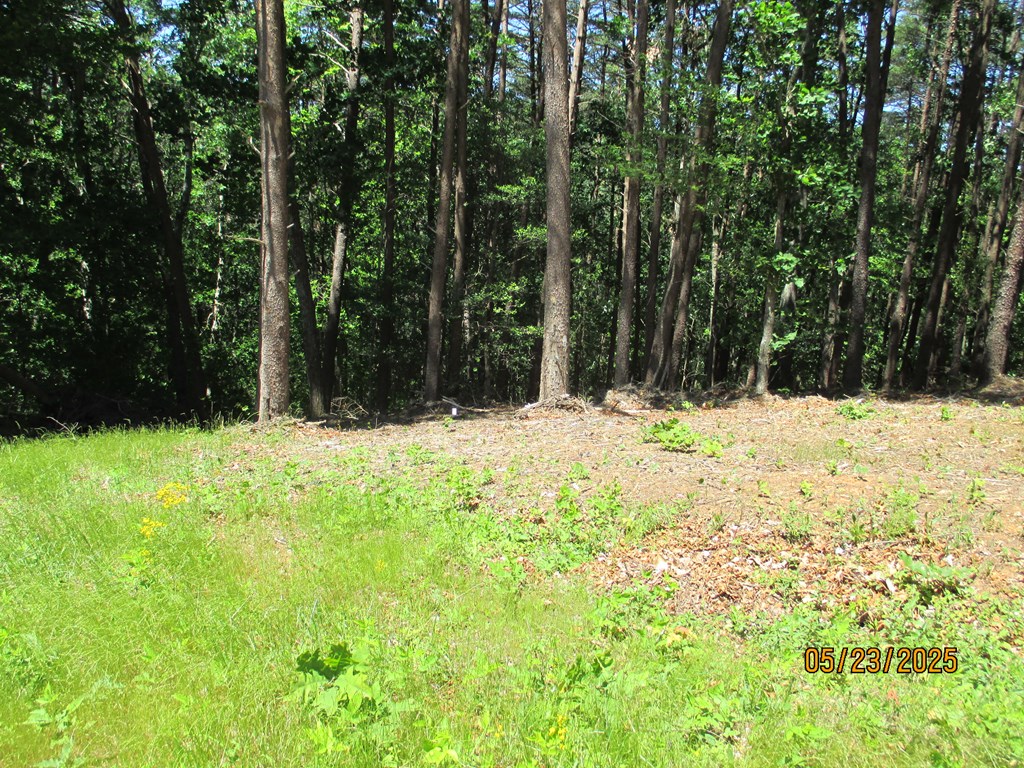 30-31 Eagle Ridge Property Photo 6