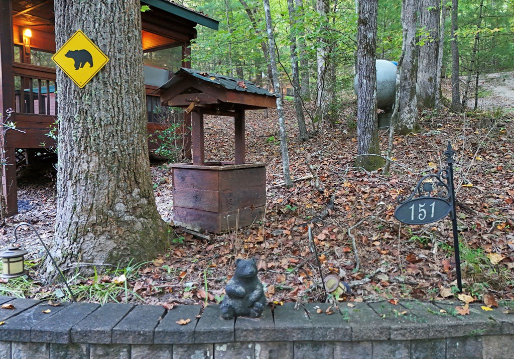 151 Hatchet Trail Property Photo 4