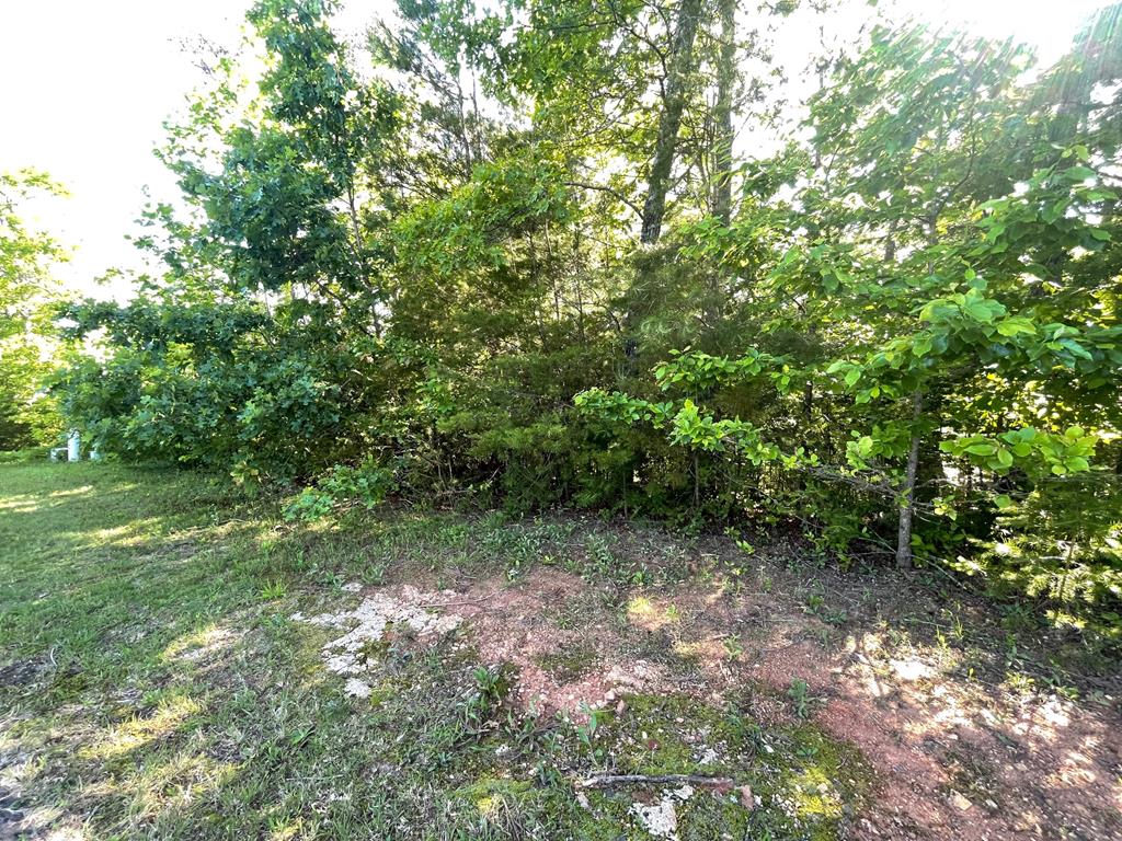 Lot 20 Big Cove Drive Property Photo 1