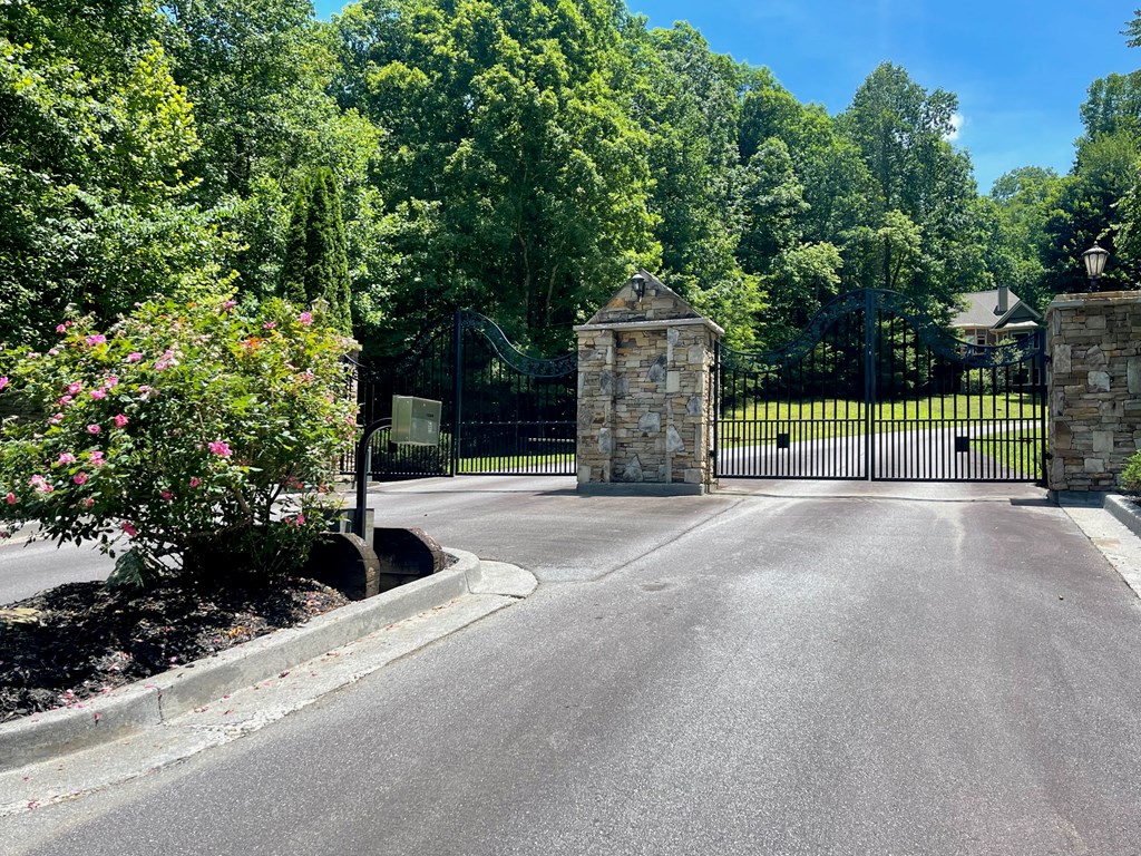 Lot 20 Big Cove Drive Property Photo 3