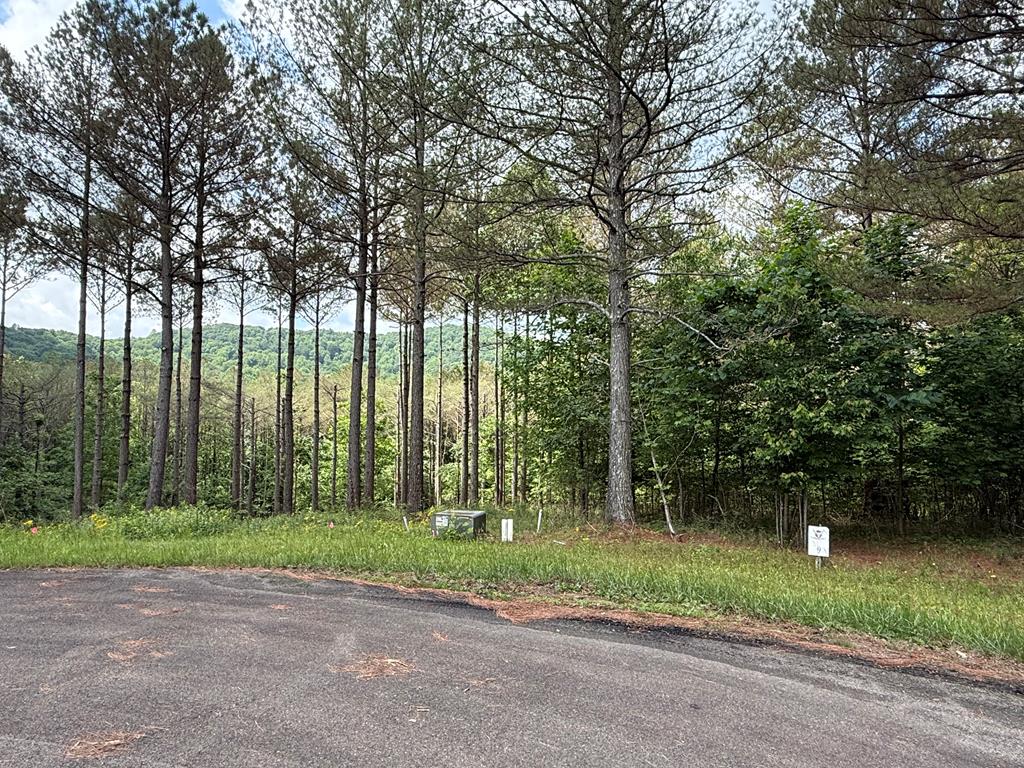 Lot 9 Eastview Trail Property Photo 1