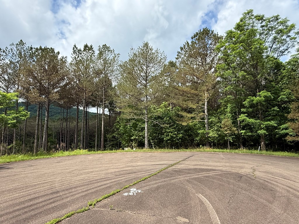 Lot 9 Eastview Trail Property Photo 2