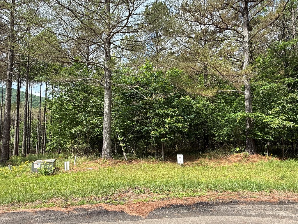 Lot 9 Eastview Trail Property Photo 3