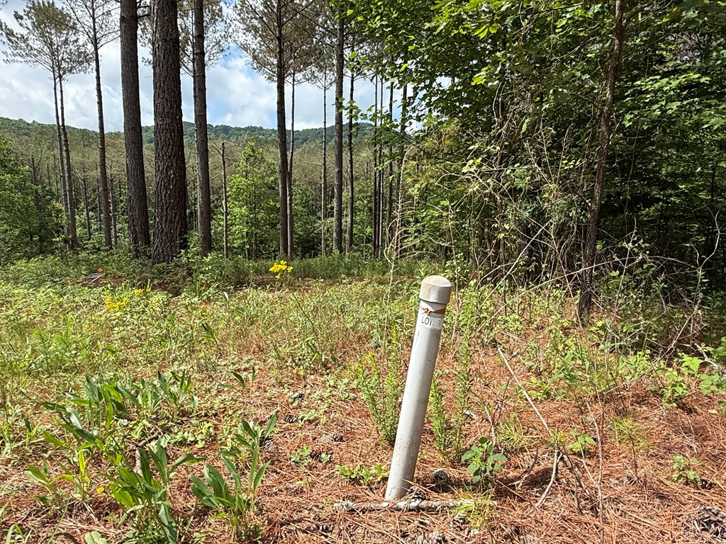 Lot 9 Eastview Trail Property Photo 5