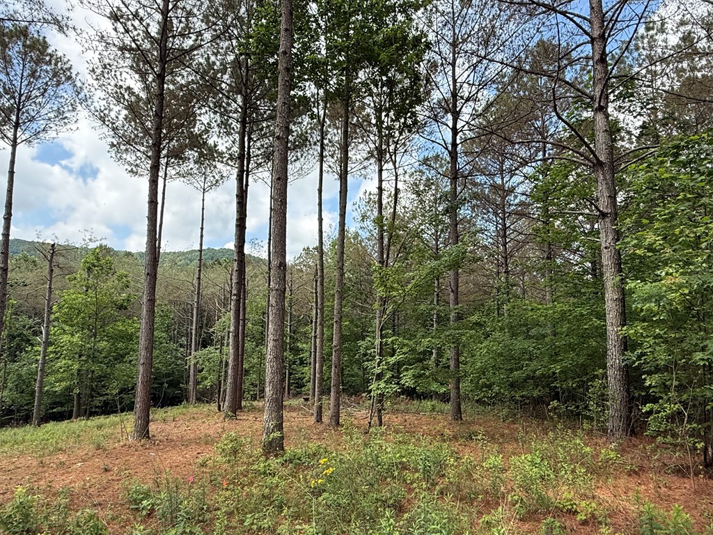 Lot 9 Eastview Trail Property Photo 7