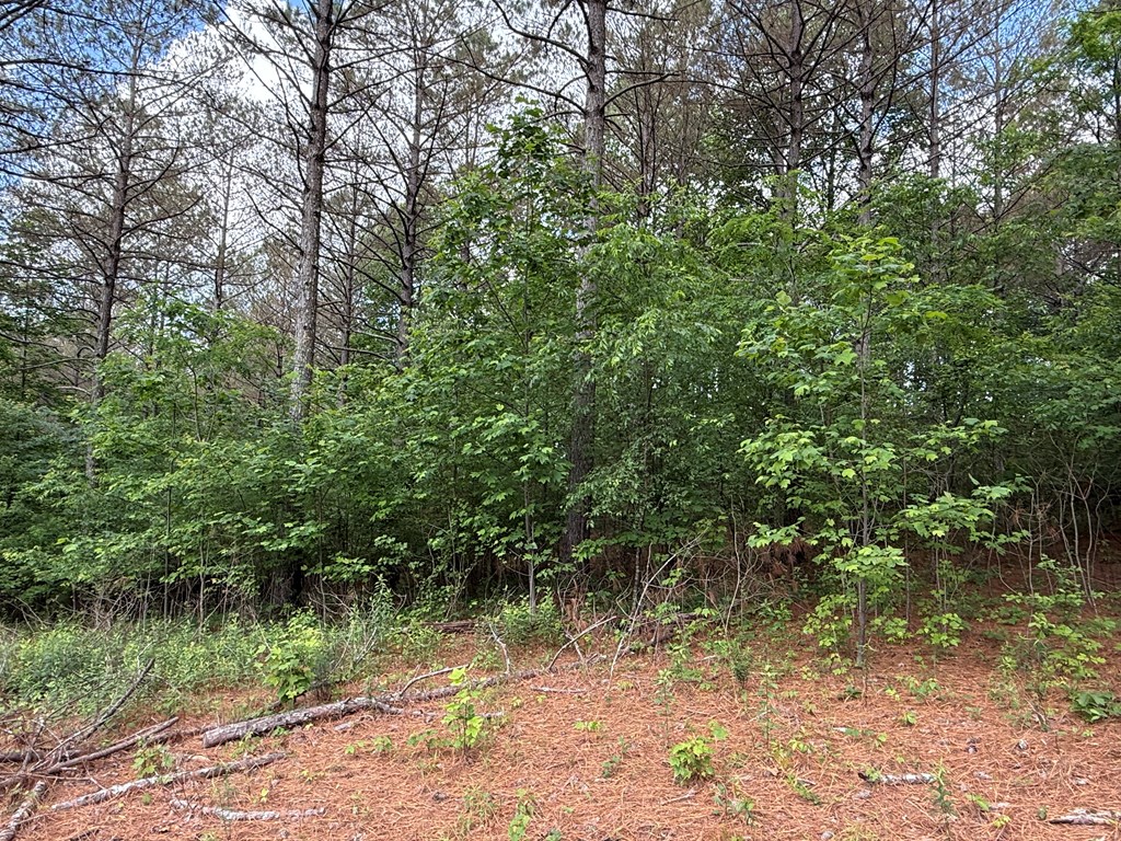 Lot 9 Eastview Trail Property Photo 8