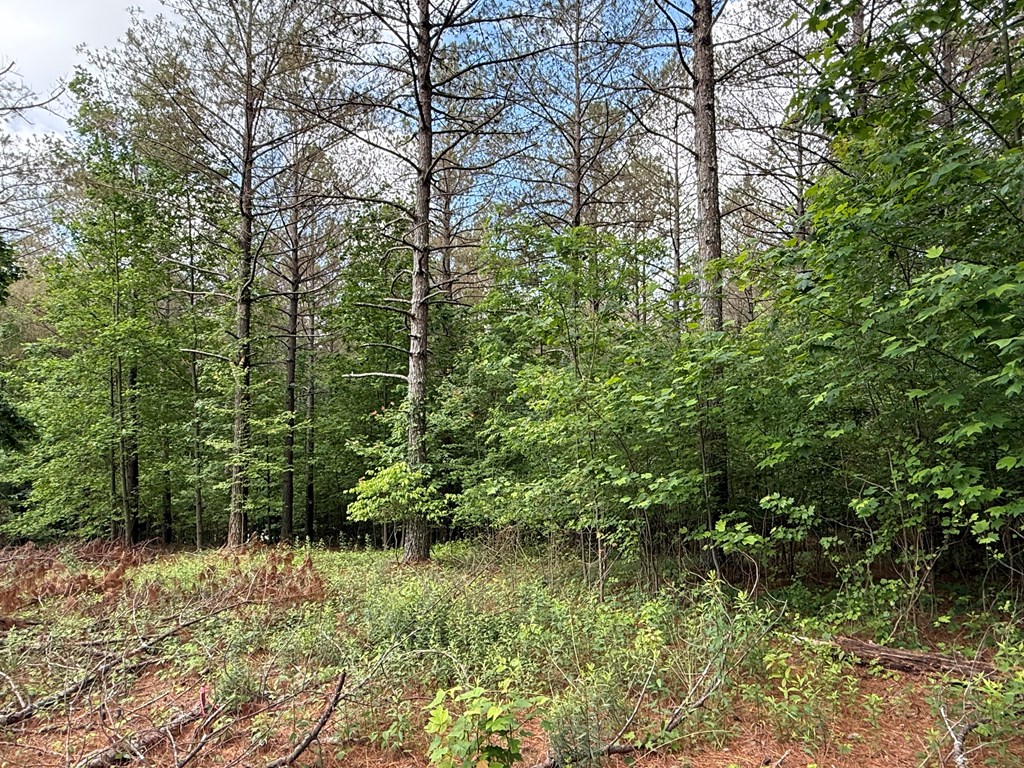 Lot 9 Eastview Trail Property Photo 9