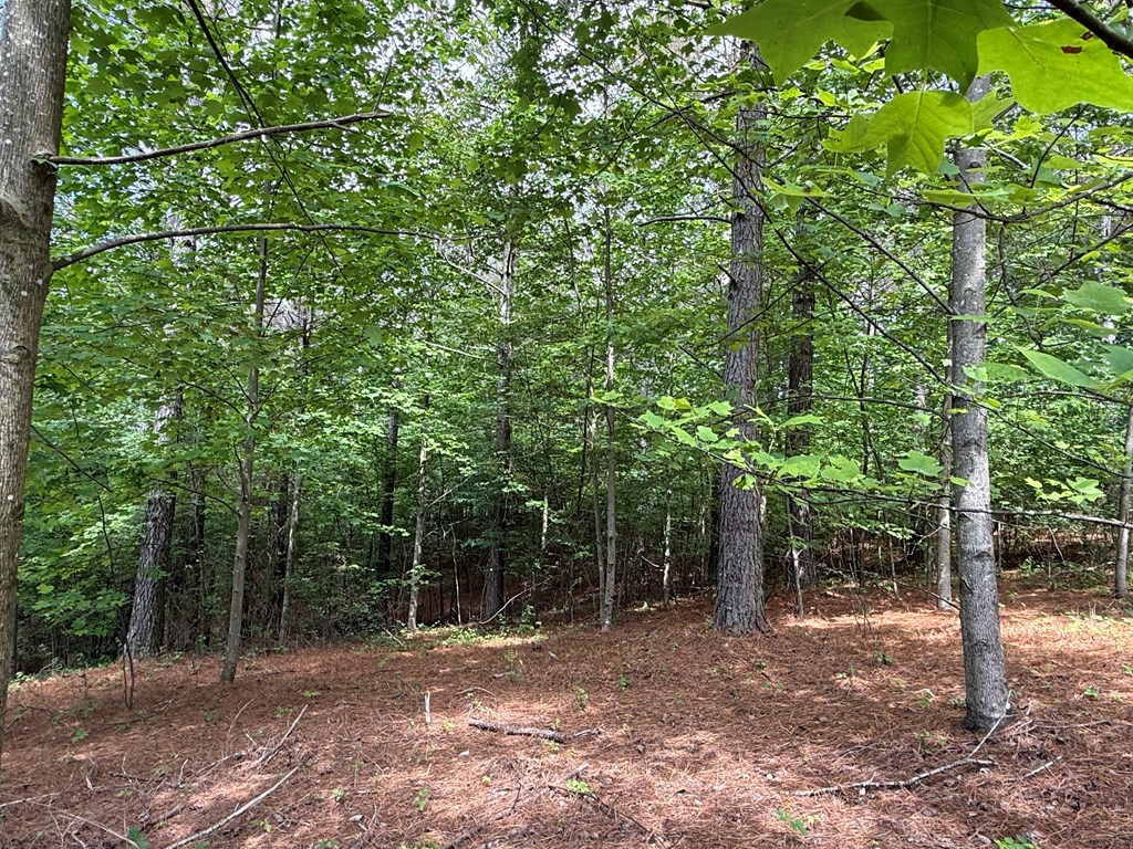 Lot 9 Eastview Trail Property Photo 10