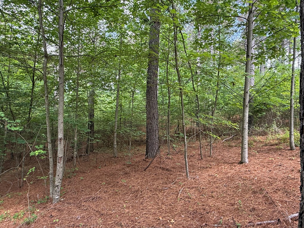 Lot 9 Eastview Trail Property Photo 11
