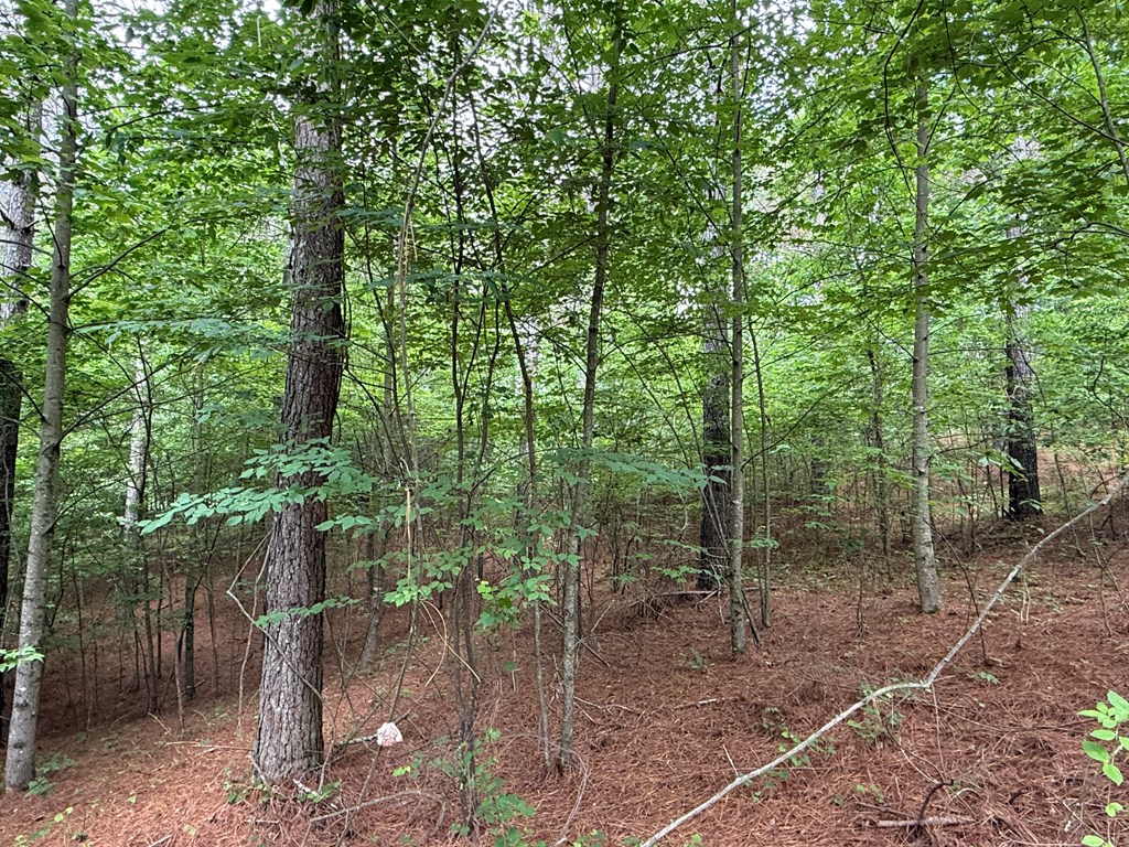 Lot 9 Eastview Trail Property Photo 12