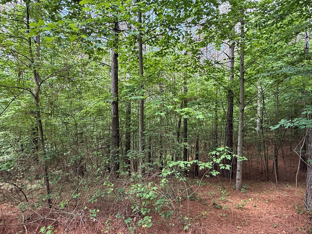 Lot 9 Eastview Trail Property Photo 13