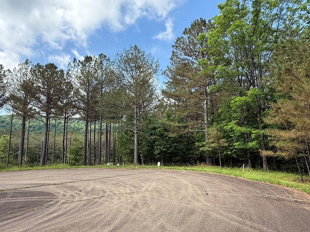 Lot 9 Eastview Trail Property Photo 14