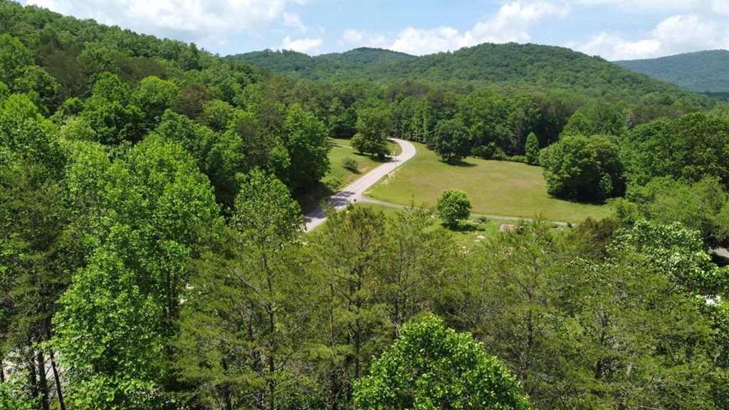 Tract 1 Timber Ridge Road Property Photo 10
