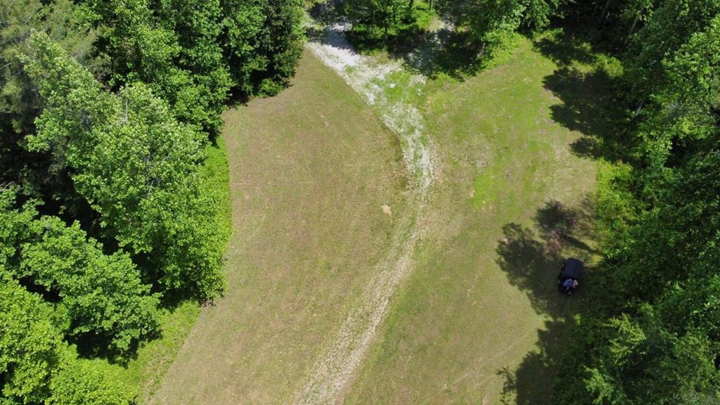 Tract 1 Timber Ridge Road Property Photo 11