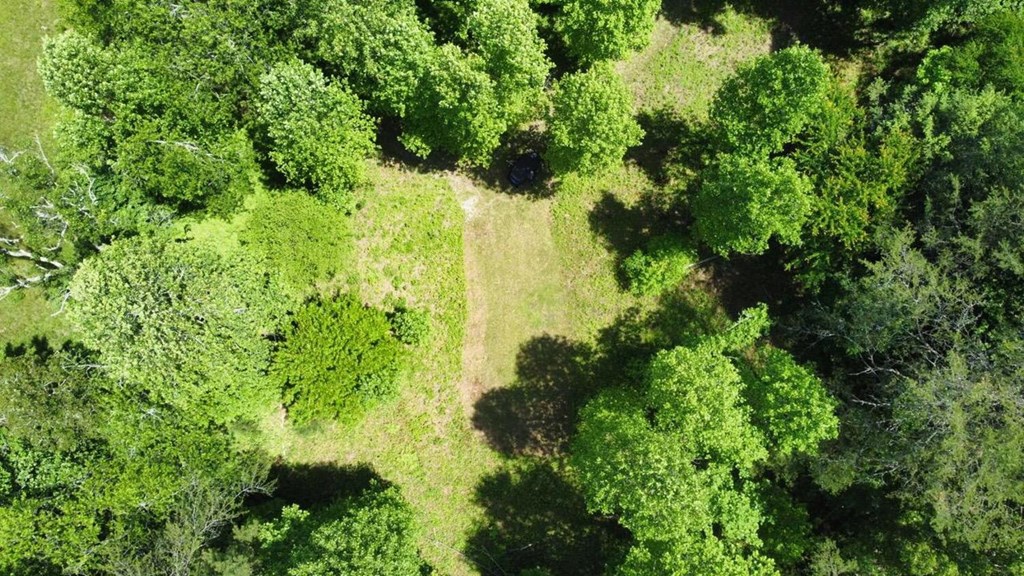 Tract 1 Timber Ridge Road Property Photo 12