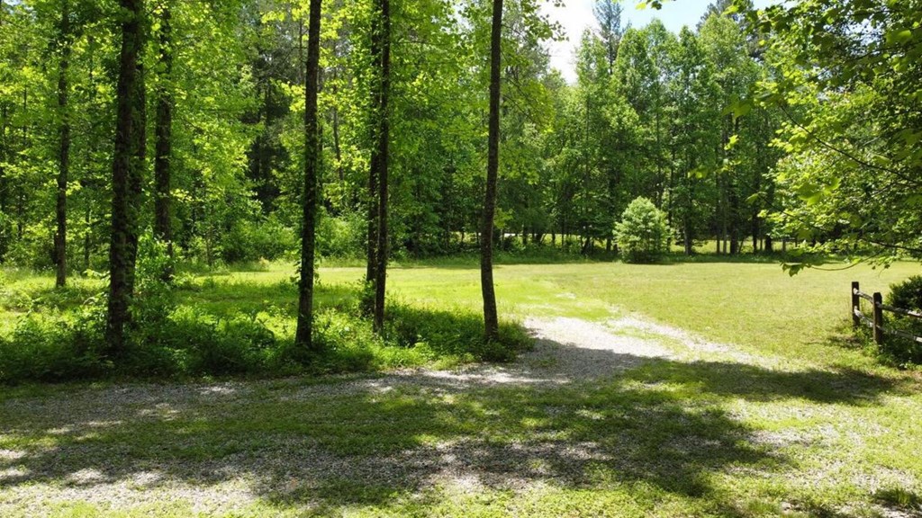 Tract 1 Timber Ridge Road Property Photo 16