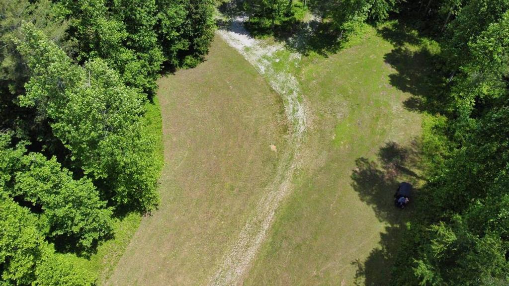 Tract 2 Timber Ridge Road Property Photo 10