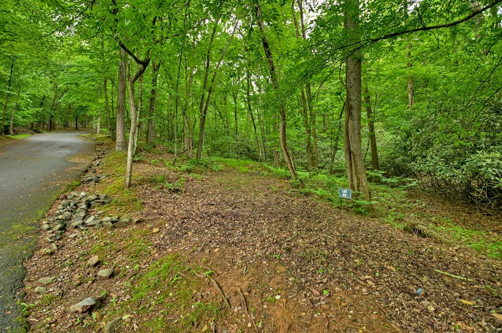 Lot 68 Riverwalk On The Toc Property Photo 2