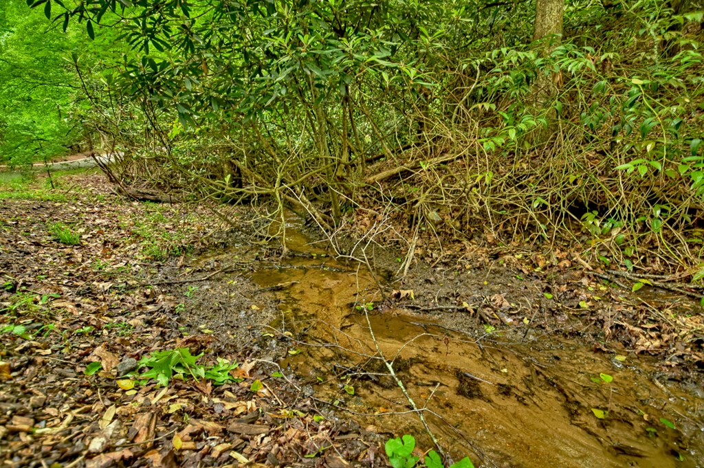 Lot 68 Riverwalk On The Toc Property Photo 14