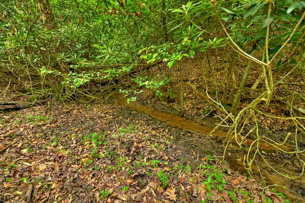 Lot 68 Riverwalk On The Toc Property Photo 20