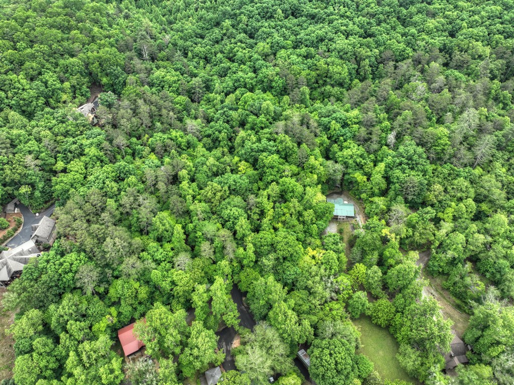 Lot 68 Riverwalk On The Toc Property Photo 21
