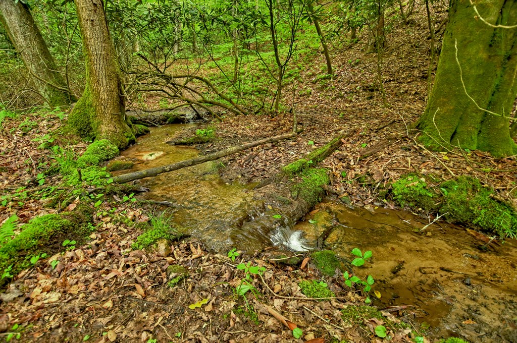 Lot 68 Riverwalk On The Toc Property Photo 24
