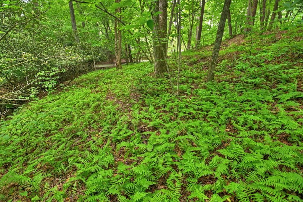 Lot 68 Riverwalk On The Toc Property Photo 27