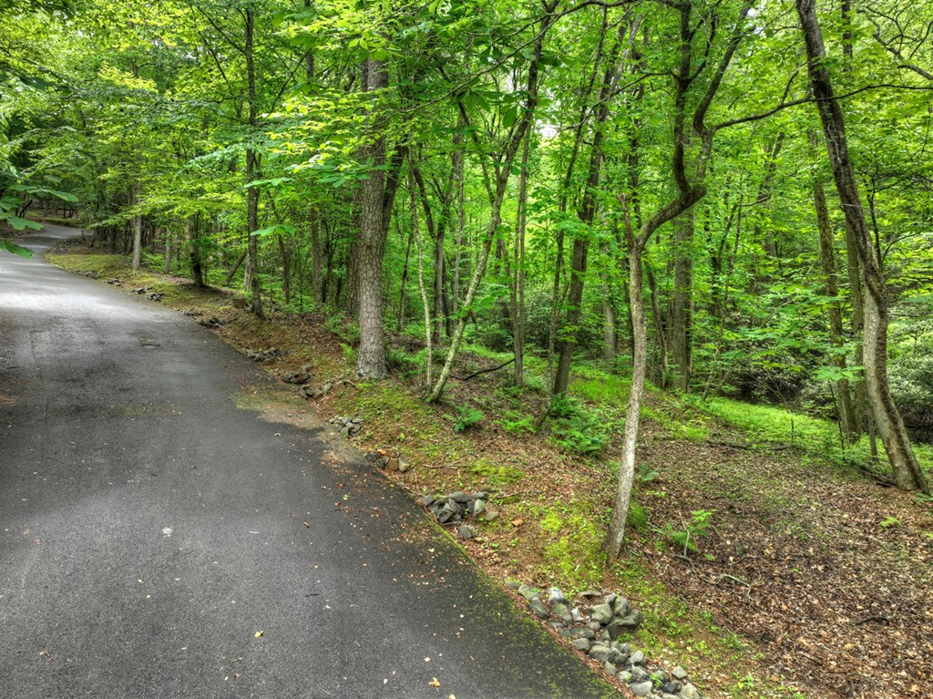 Lot 68 Riverwalk On The Toc Property Photo 31
