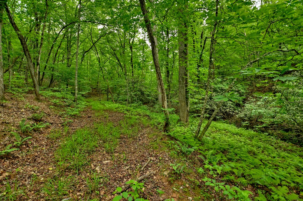 Lot 68 Riverwalk On The Toc Property Photo 32