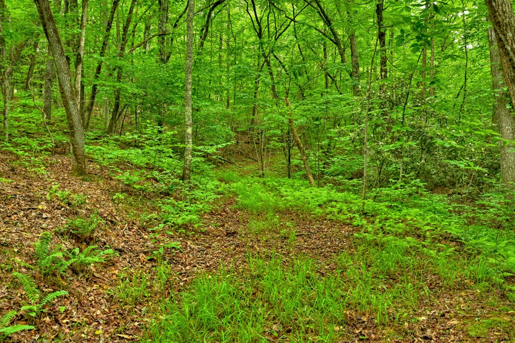 Lot 68 Riverwalk On The Toc Property Photo 33