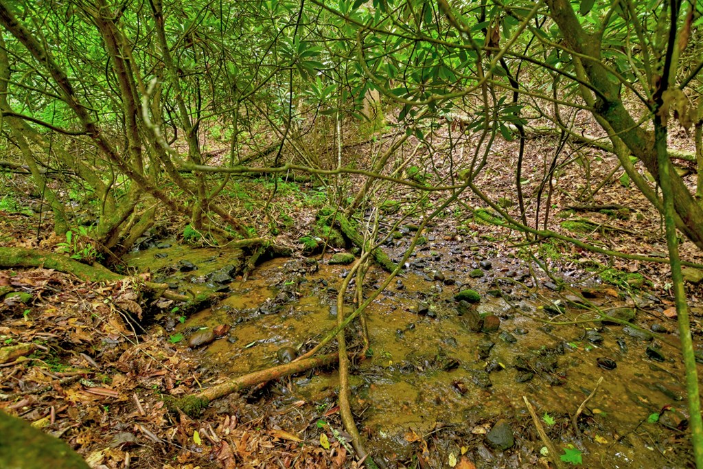 Lot 68 Riverwalk On The Toc Property Photo 34
