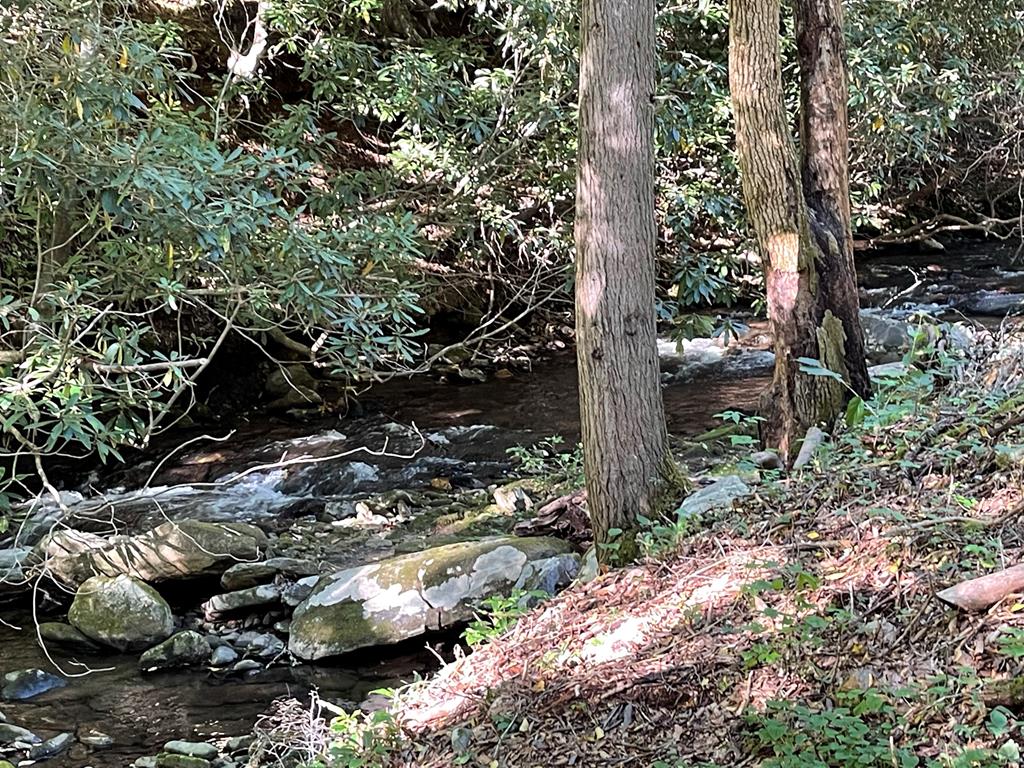 5 Tusquittee Crossing Property Photo 4