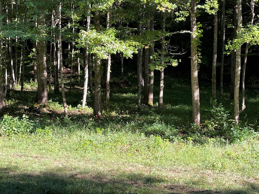 5 Tusquittee Crossing Property Photo 5
