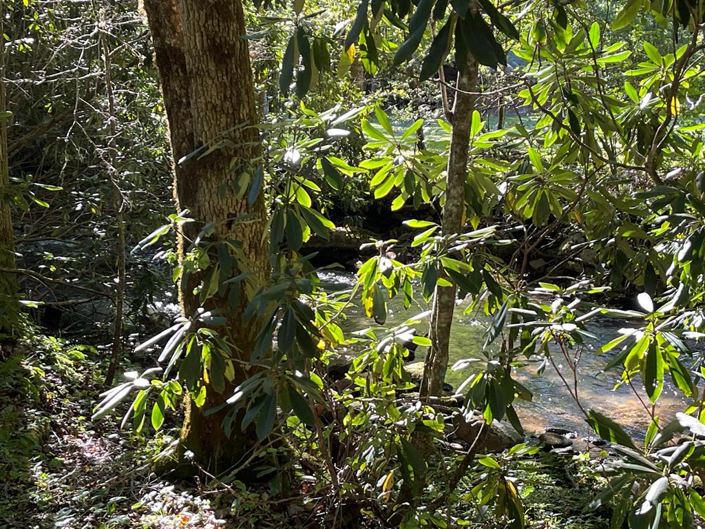 5 Tusquittee Crossing Property Photo 6