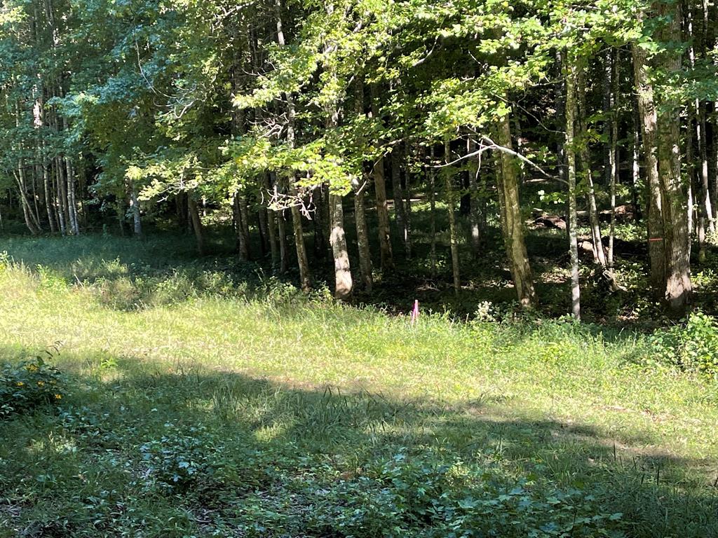5 Tusquittee Crossing Property Photo 7
