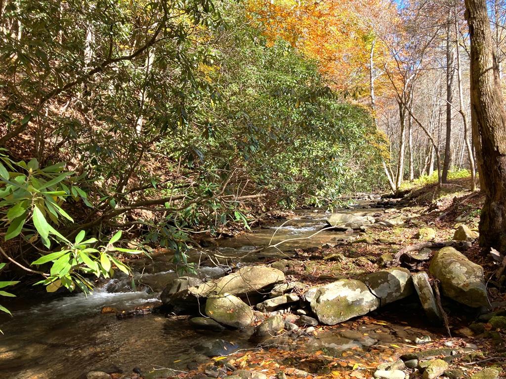 5 Tusquittee Crossing Property Photo 8